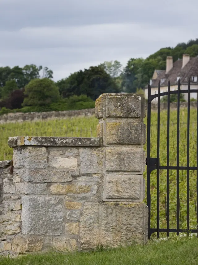 Cote De Beaune Bivbwww.armellephotographe.com