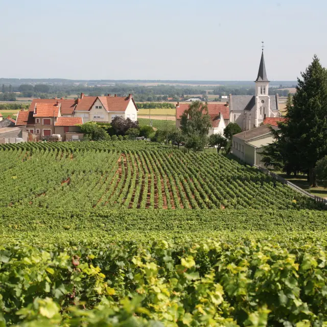 Comblanchien - Route des Grands Crus de Bourgogne