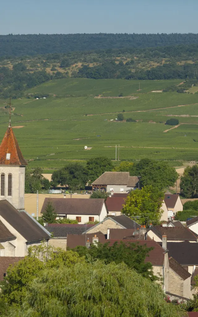 Flagey Echezeaux - Route des Grands Crus de Bourgogne