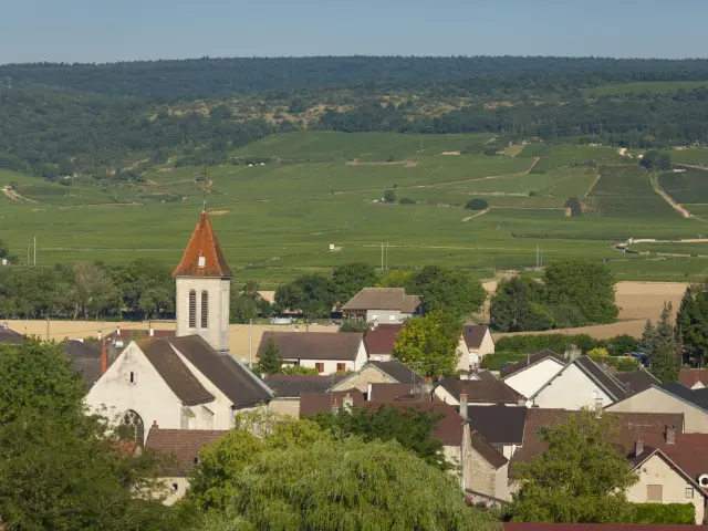 Flagey Echezeaux - Route des Grands Crus de Bourgogne