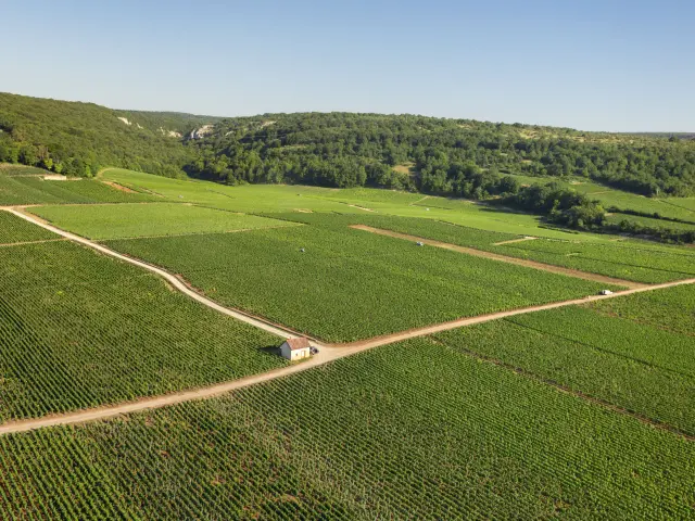 Flagey Echezeaux - Route des Grands Crus de Bourgogne
