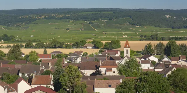 Flagey Echezeaux - Route des Grands Crus de Bourgogne
