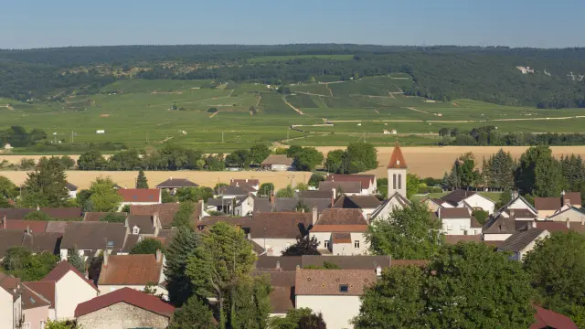 Flagey Echezeaux - Route des Grands Crus de Bourgogne