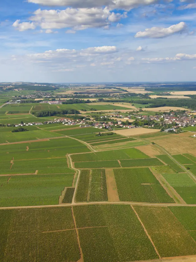 Chorey Les Beaune - Route des Grands Crus de Bourgogne