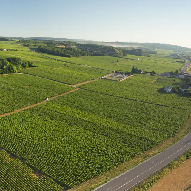 Corgoloin - Route des Grands Crus de Bourgogne