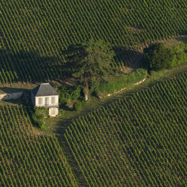 Premeau Prissey - Route des Grands Crus de Bourgogne