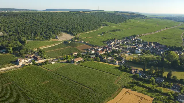Premeau Prissey - Route des Grands Crus de Bourgogne