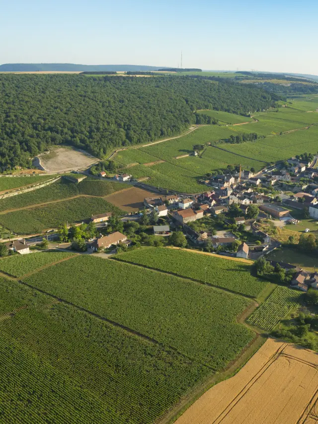 Premeau Prissey - Route des Grands Crus de Bourgogne