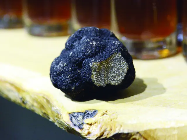 L'or Des Valois - Truffes de Bourgogne