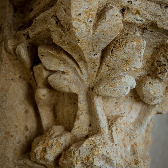 G Süd Tg Musee Gdselve 13