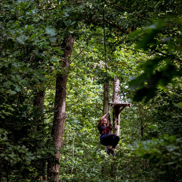 Baumklettern im Wald von Montech