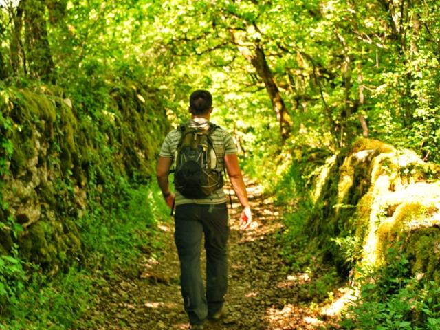 Excursionistas por los senderos