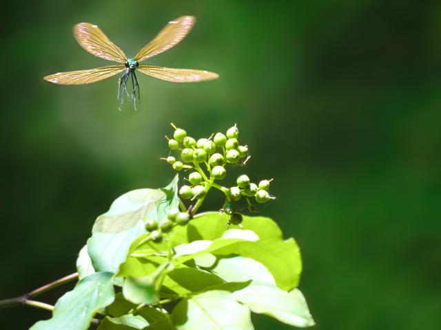 Une Demoiselle Les Yeux Dans Les Yeux