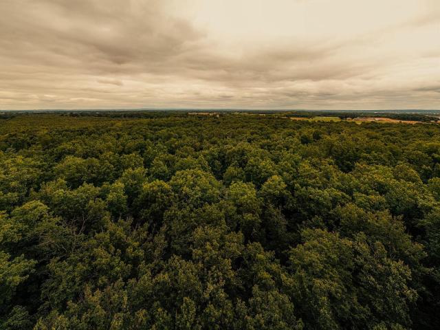 El bosque de Agre de Montech desde el aire