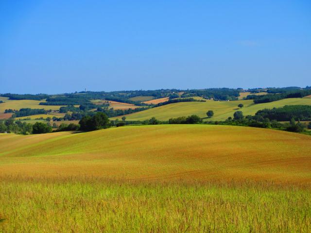 Paisaje de Varennes