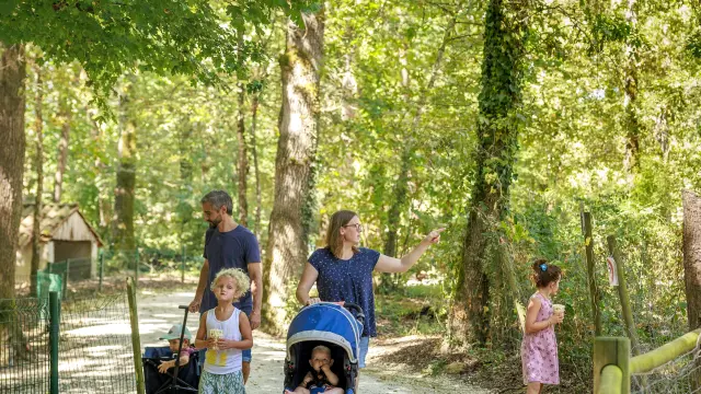 Zanimoland Monbalen Cedric Vlemmings 3 Min