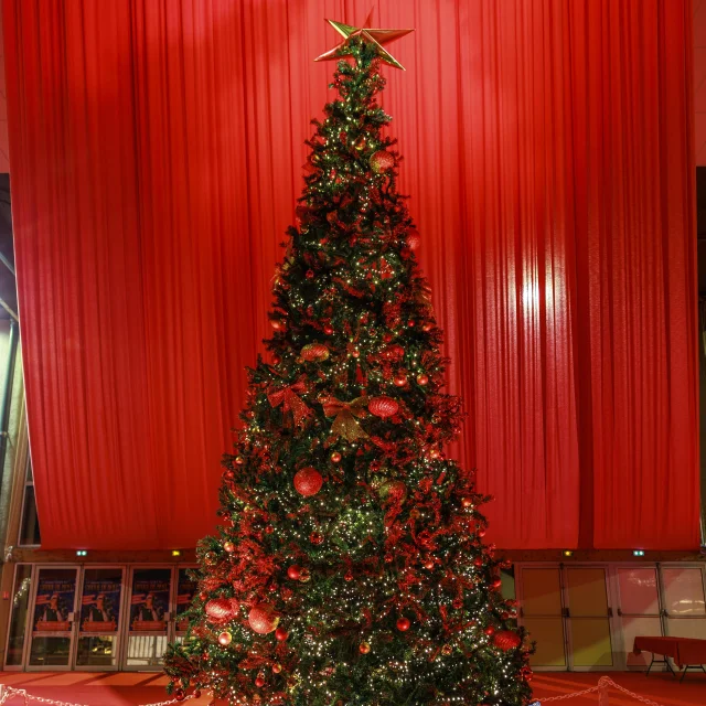 Marché de Noël, Villeneuve-sur-Lot