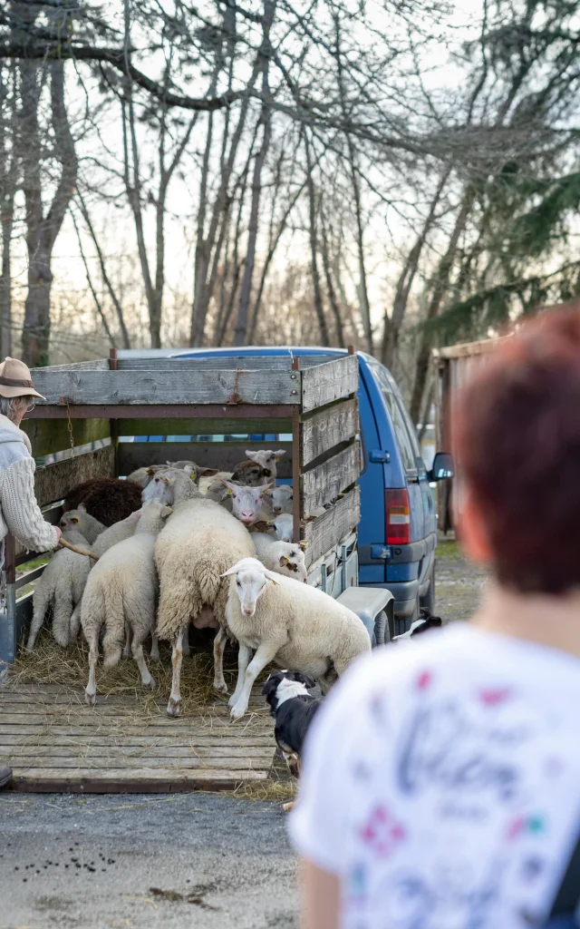 Feria Agricole Villeneuve Sur Lot Cedric Vlemmings 13 Min