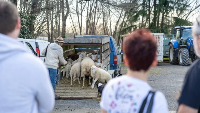 Feria Agricole Villeneuve Sur Lot Cedric Vlemmings 13 Min