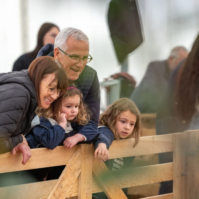 Feria Agricole Villeneuve Sur Lot Cedric Vlemmings 21 Min