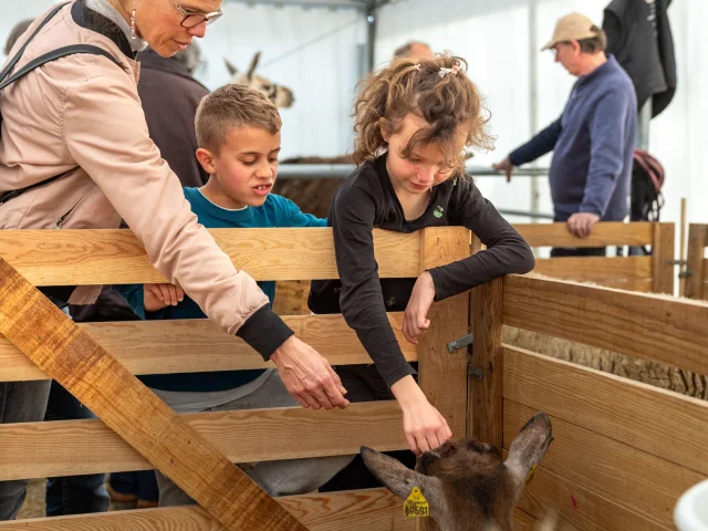 Feria Agricole Villeneuve Sur Lot Cedric Vlemmings 7 Min