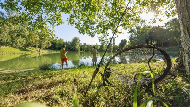 Pêche