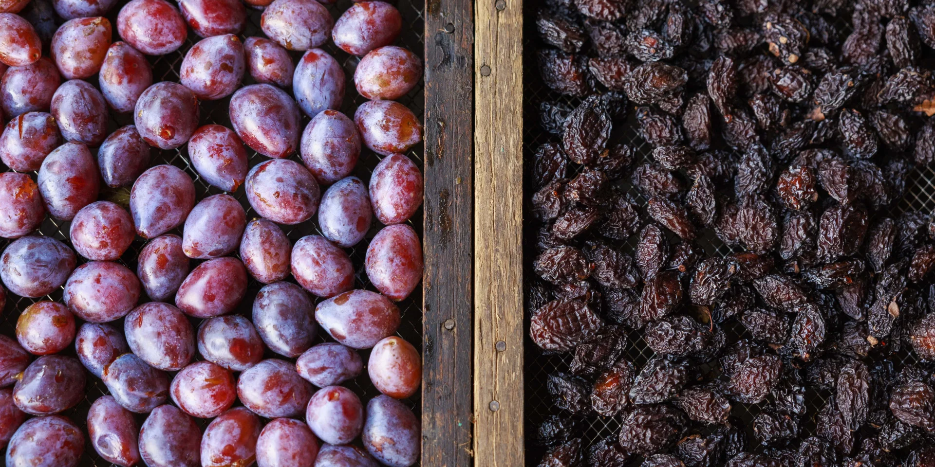 Prunes et pruneaux, Allez-et-Cazeneuve