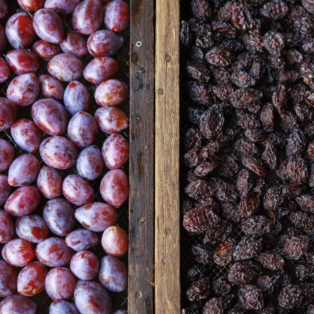 Prunes et pruneaux, Allez-et-Cazeneuve
