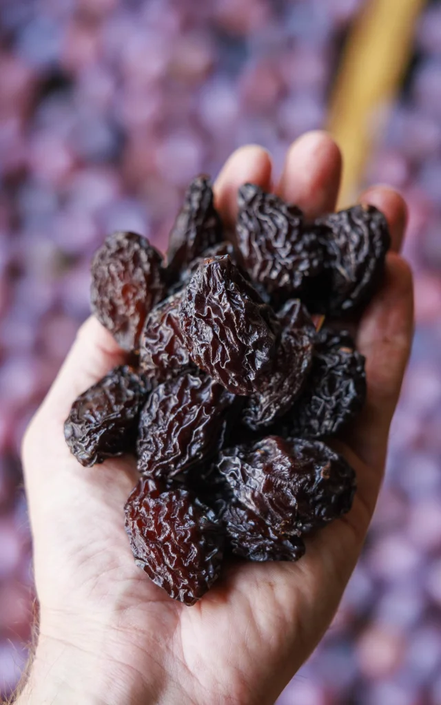 P34 35 Prunes Cedric Vlemmings 1 Min