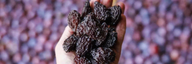 Prunes