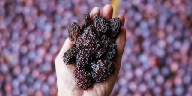 Prunes