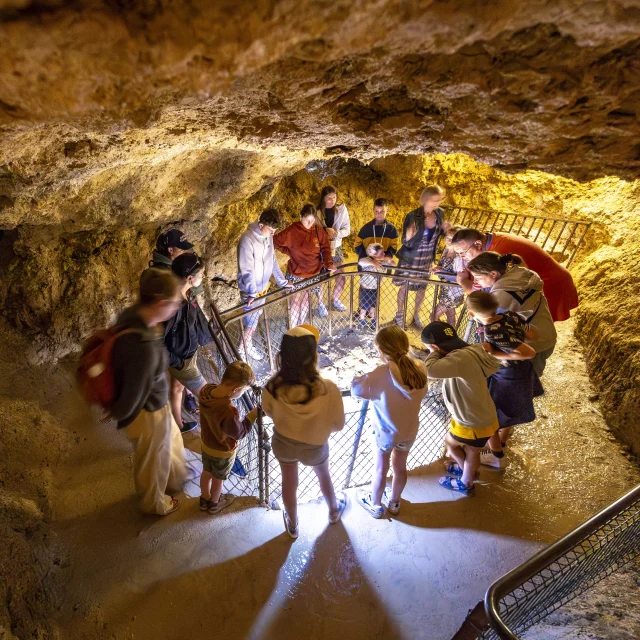 Grotte de Lastournelle, Sainte-Colombe-de-Villeneuve