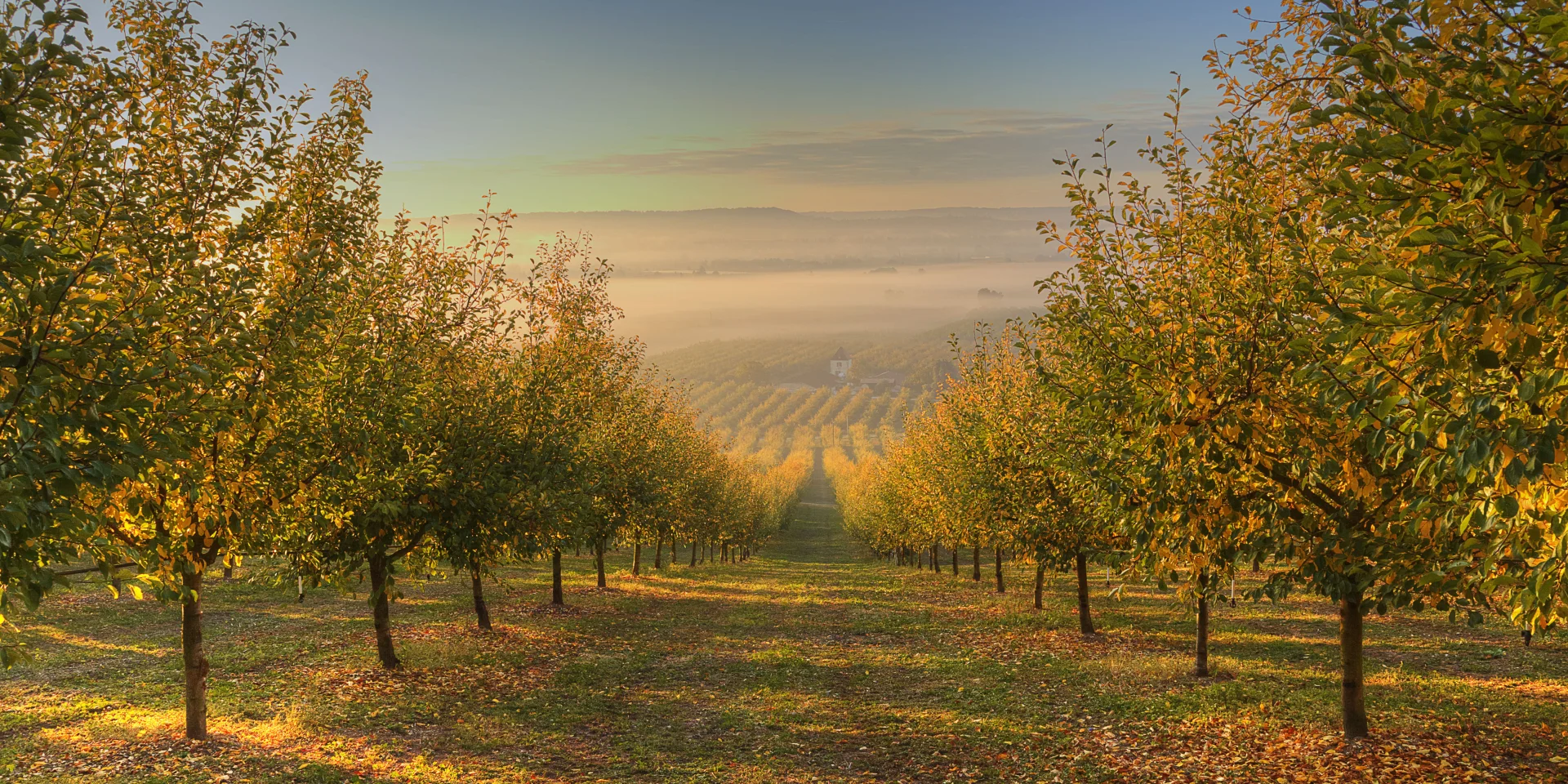Automne en Vallée du Lot