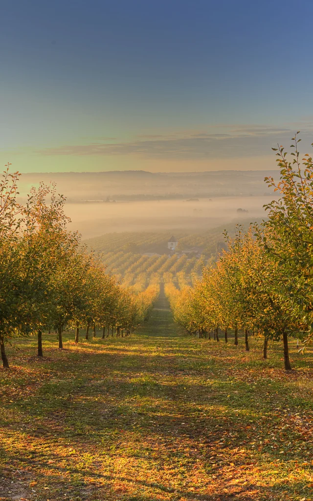 Commune De Pinel Hauterive Dany Stervinou 2118
