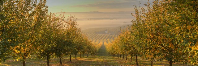 Commune De Pinel Hauterive Dany Stervinou 2118