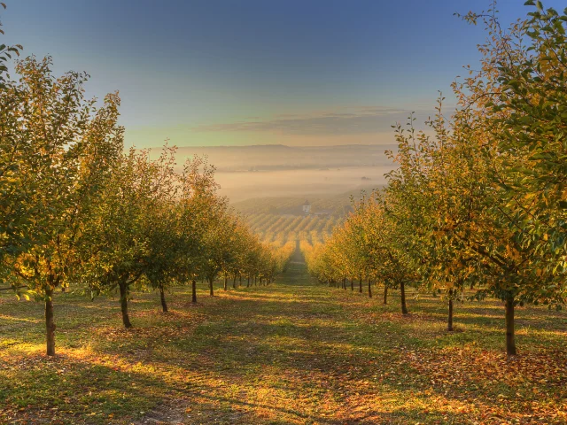 Automne en Vallée du Lot