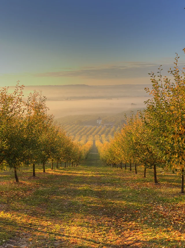Commune De Pinel Hauterive Dany Stervinou 2118