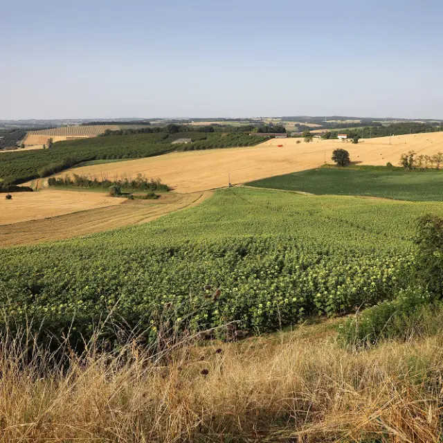 Hautevignes Jerome Morel