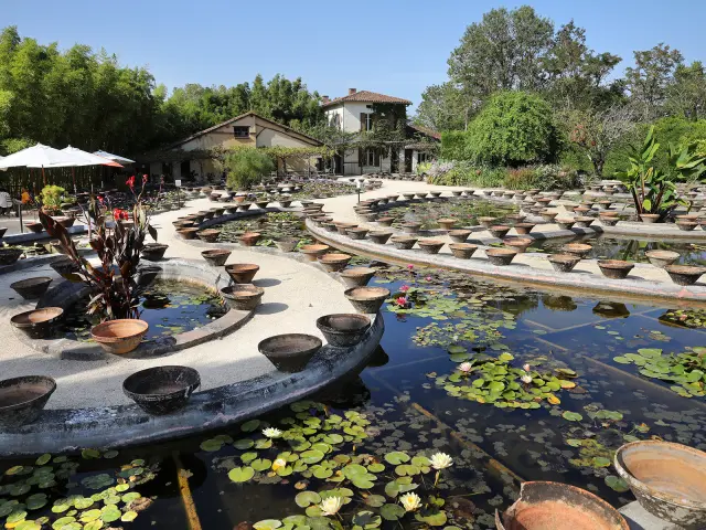 Jardin Nenuphars Temple Sur Lot Jerome Morel