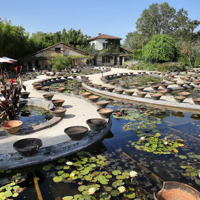 Jardin Nenuphars Temple Sur Lot Jerome Morel