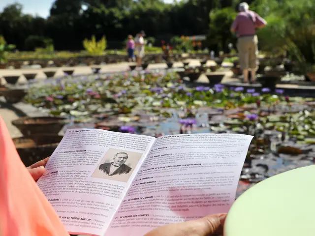 Jardin Des Nenuphars Latour Marliac Jerome Morel