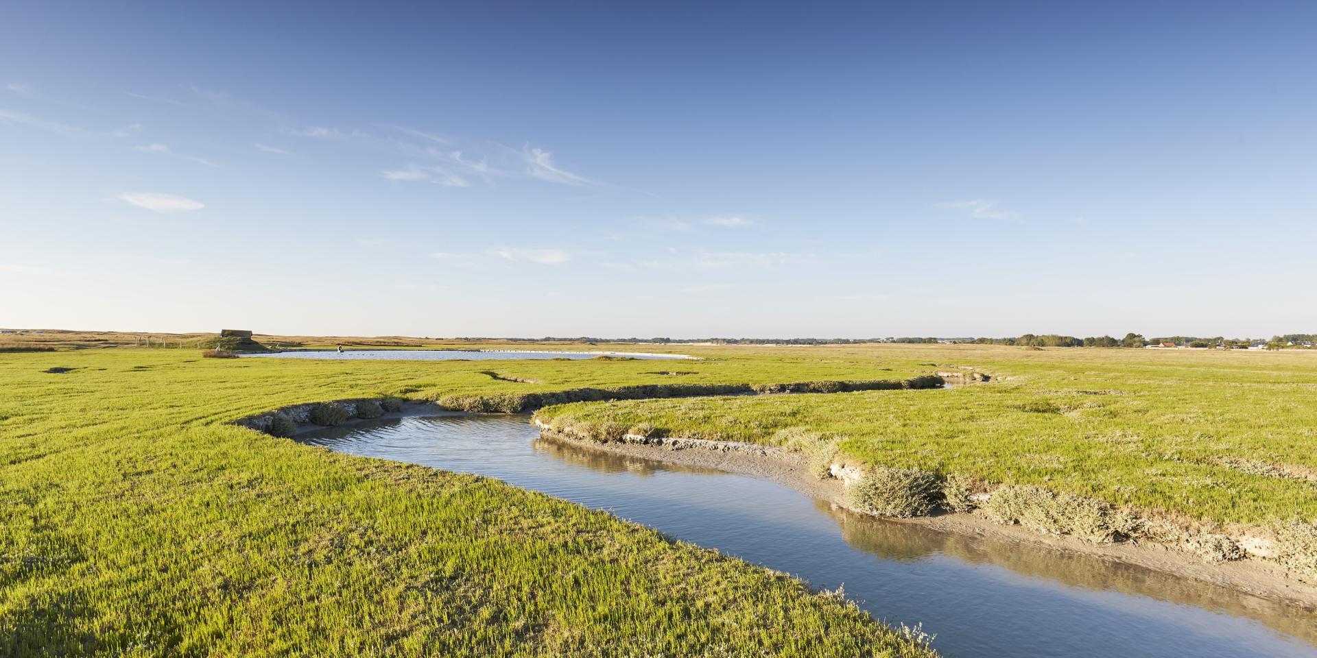 Les Salines du havre de la Vanlée