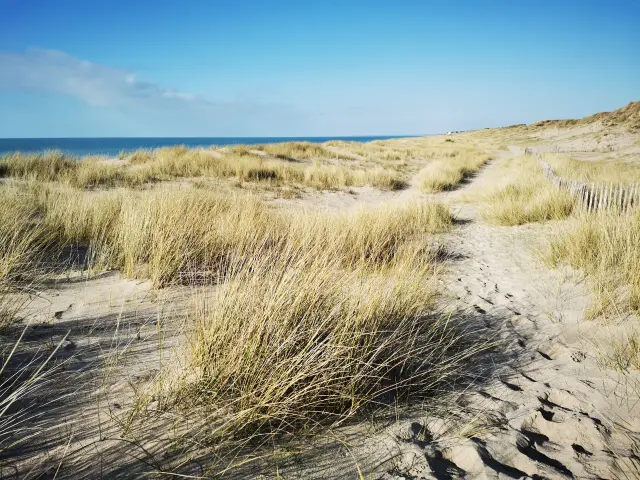 Die Dünen von Bréville-sur-Mer, ein Naturschutzgebiet