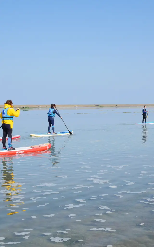 Stand Up Paddle in La Vanlée harbour