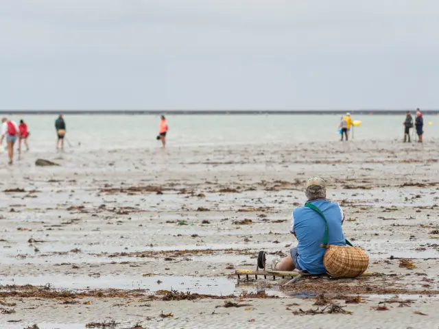 Peche A Pied Lors Des Grandes Marees