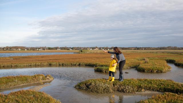 Eine Mutter und ihre Tochter spazieren durch die Salzwiesen des Havre de la Vanlée in Bricqueville-sur-Mer