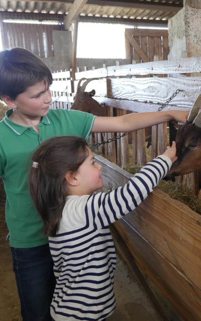 C'est toi le fermier à la Ferme de la Chèvre Rit im Rahmen des Festi'Récré-Festivals