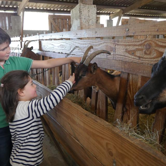 C'est toi le fermier à la Ferme de la Chèvre Rit dans le cadre du festival Festi'Récré