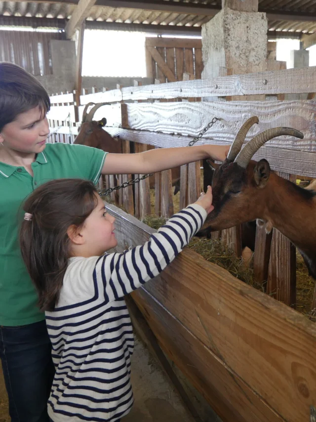 C'est toi le fermier à la Ferme de la Chèvre Rit im Rahmen des Festi'Récré-Festivals