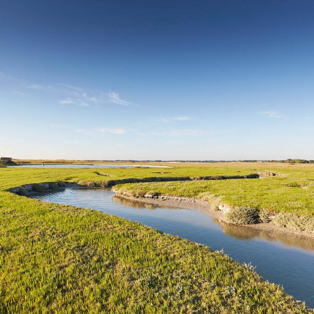 Havre Vanlee Alexandre Lamoureux